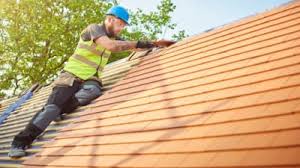 Best Roof Moss and Algae Removal  in Hansville, WA