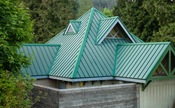 Best Roof Maintenance and Cleaning  in Hansville, WA