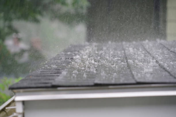 Best Cold Roofs  in Hansville, WA
